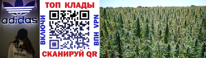 Наркошоп купить КОКАИН  Конопля  Альфа ПВП  Гашиш  Меф мяу мяу  Бодайбо