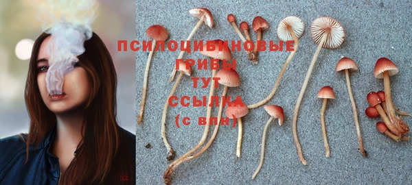 твердый Аркадак